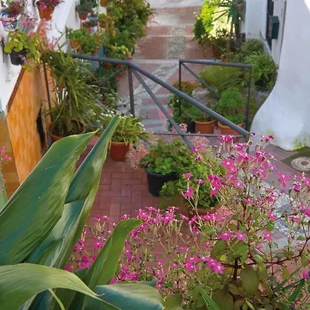 Apartment Mirador Del Valle