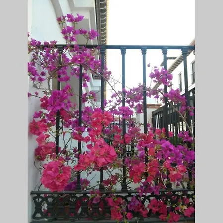 Mirador Del Valle *